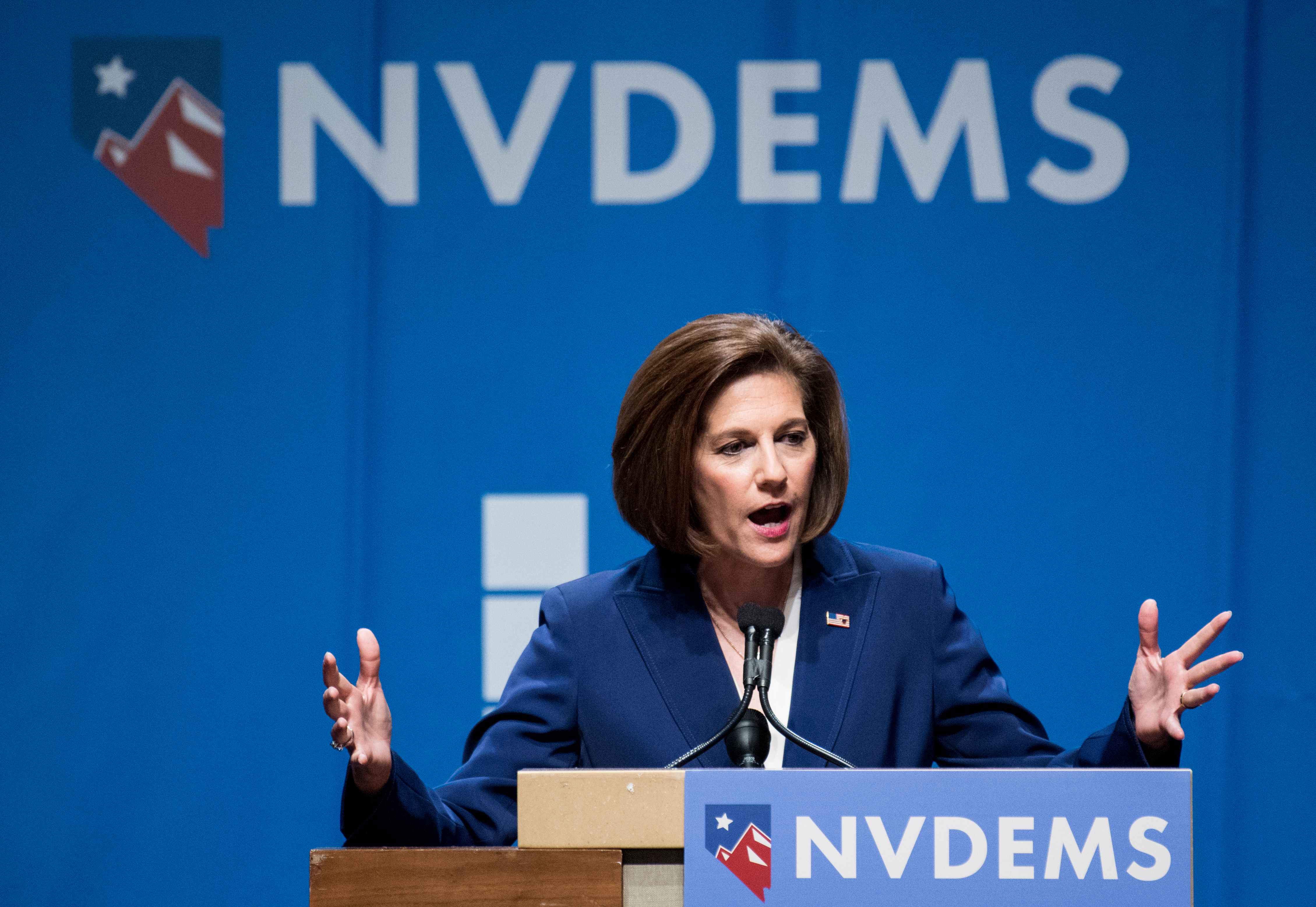 <a class="memberLink" title="Click to view member info in a new window" href="http://data.rollcall.com/members/98185?rel=memberLink" target="_blank">Catherine Cortez Masto</a> defeated Rep. Joe Heck in the Nevada Senate race. (Bill Clark/CQ Roll Call)