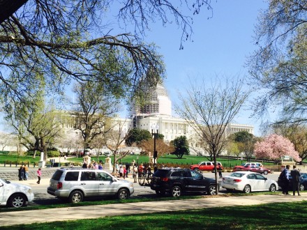 The scene at the West Front of the U.S. Capitol after an apparent suicide put the building on lockdown. (Chris Hale/CQ Roll Call)