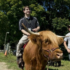 Clemy is a Scottish Highlander cow at the Miles Smith Farm in Loudon. (Bill Clark/CQ Roll Call File Photo)