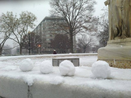 (Courtesy Washington DC Snowball Fight Association)
