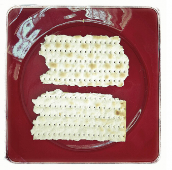 Matzo-themed equality sign Picture 11